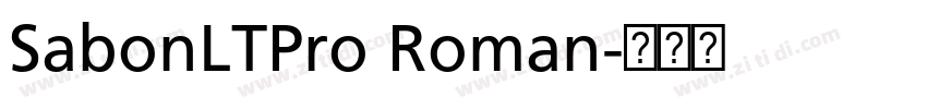 SabonLTPro Roman字体转换